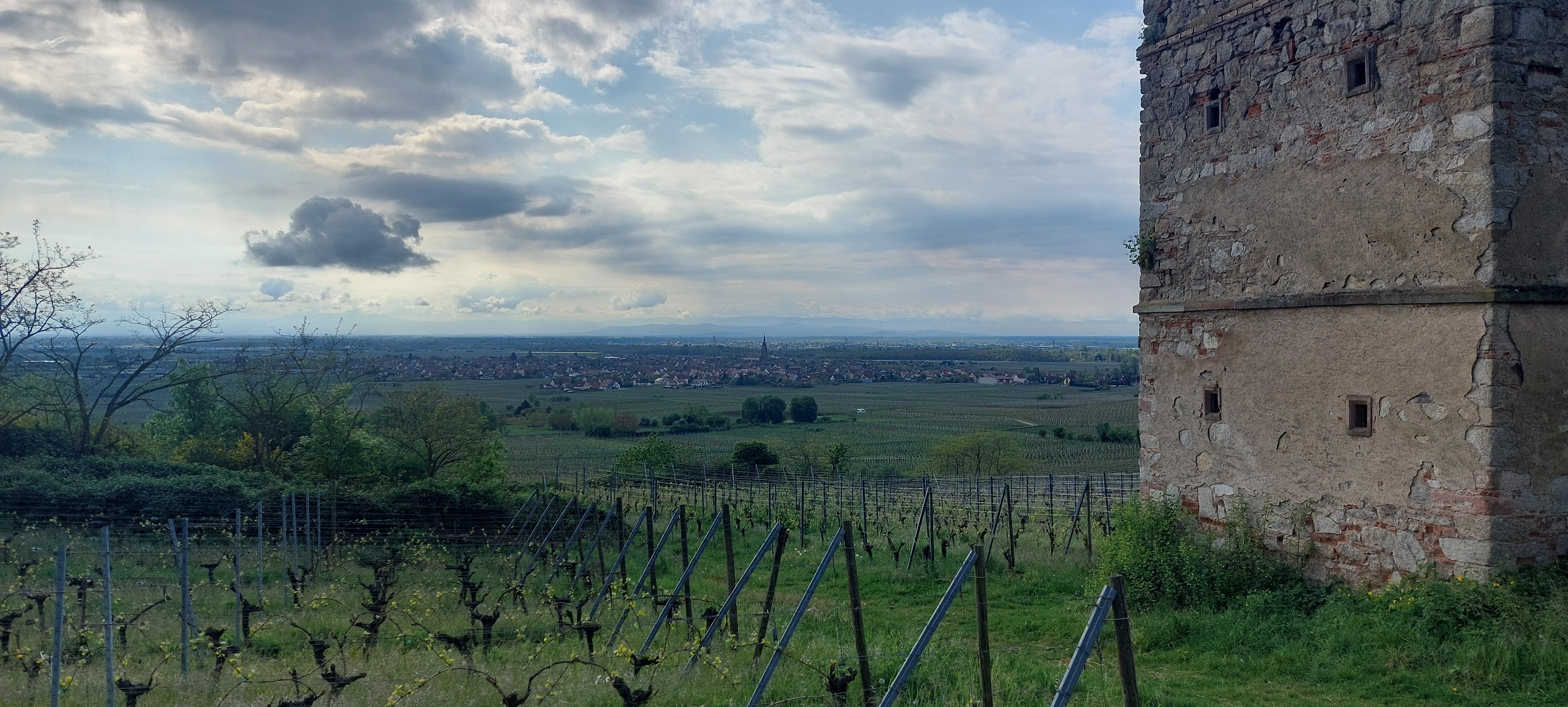 Ascension des châteaux de Scherwiller