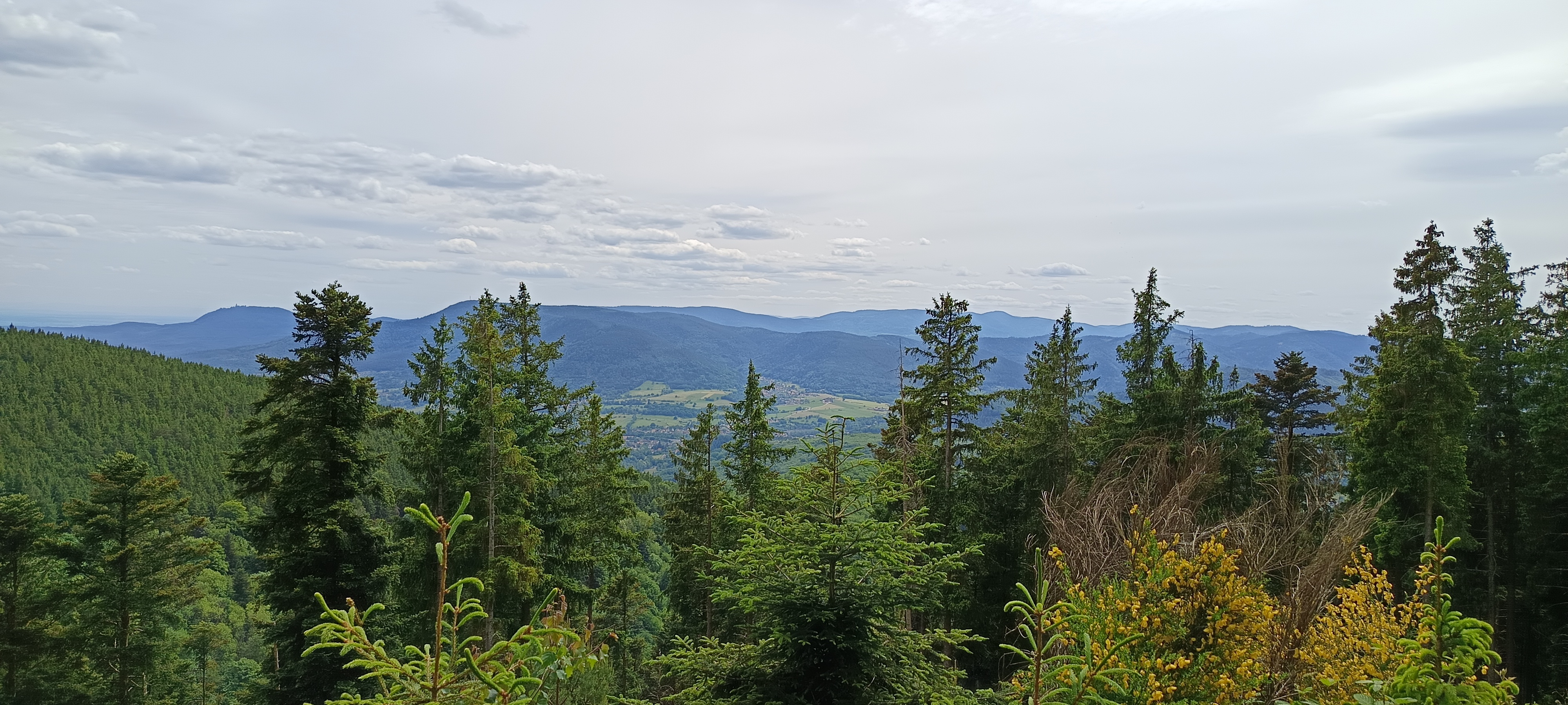 Le col de l'Ungersberg au départ de Triembach-au-val