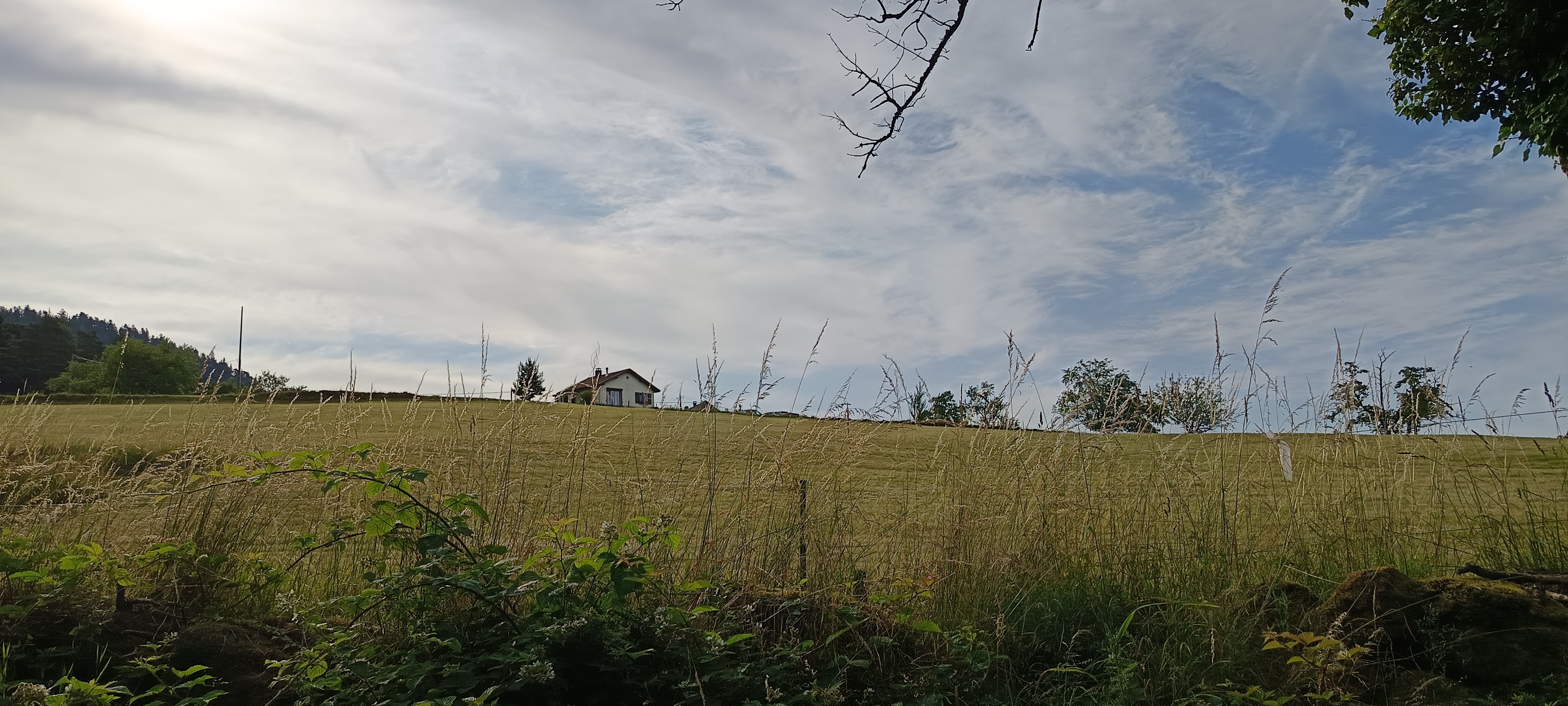 La roche du Tétras par Kaysersberg