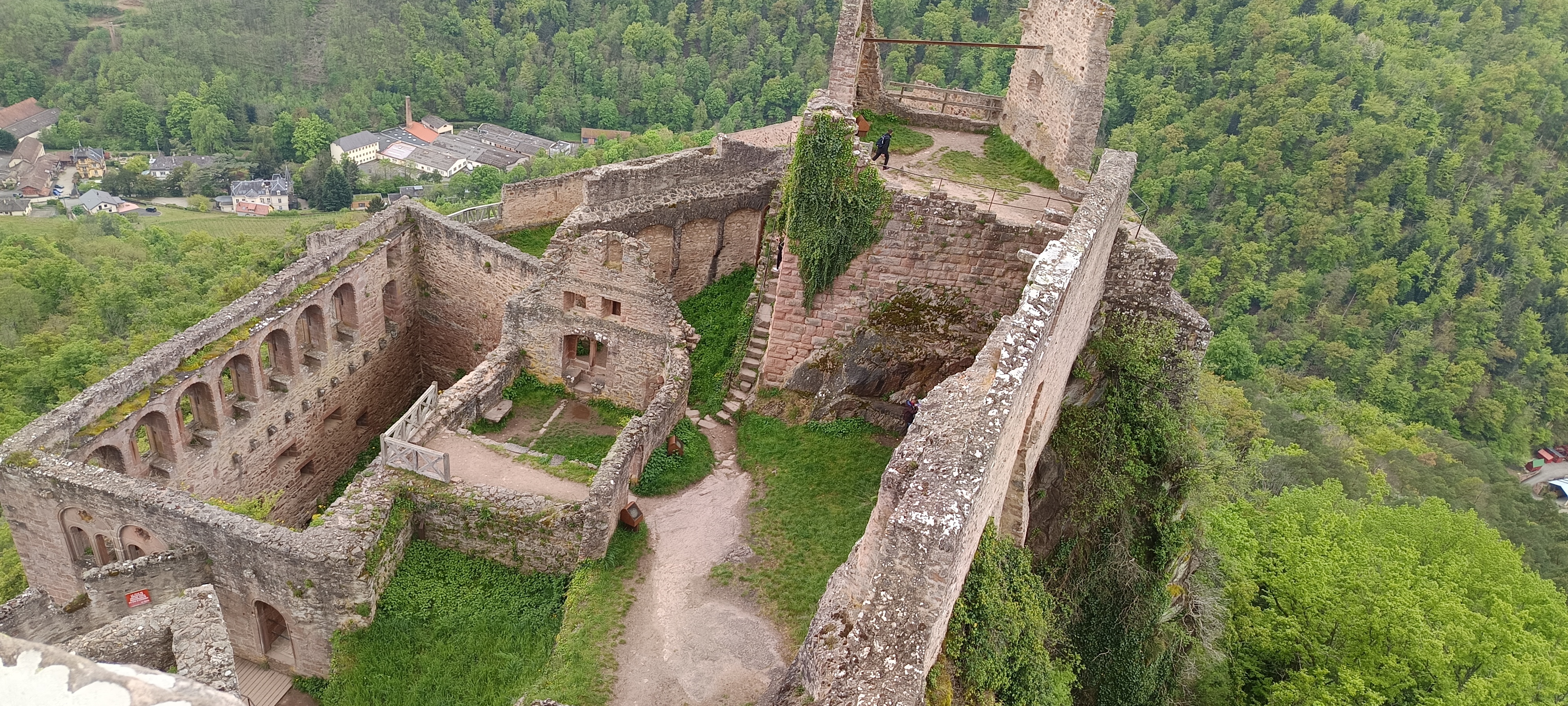 Les châteaux de Ribeauvillé et Thannenkirch